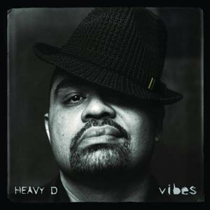 Heavy D Vibes Album Cover