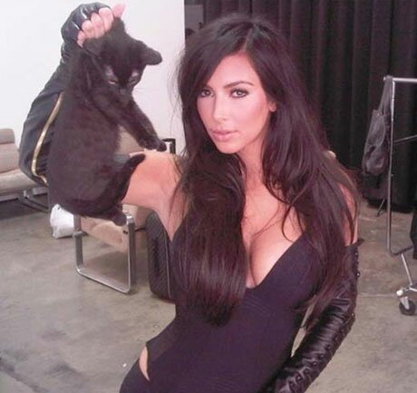 Kim Kardashian Cat Photo