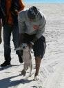 Picture of Chris Brown playing with puppy on beach in Miami, Dec 2010