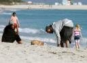 Picture of Chris Brown, Jasmine Sanders with puppy on beach in Miami, Dec 2010
